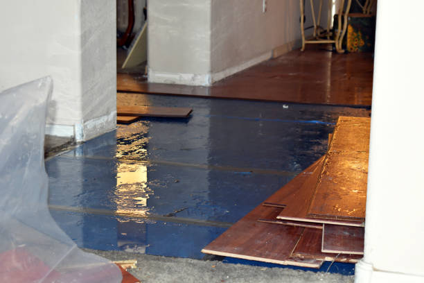 Professional Sewage Cleanup technician working in Lee's Summit, MO